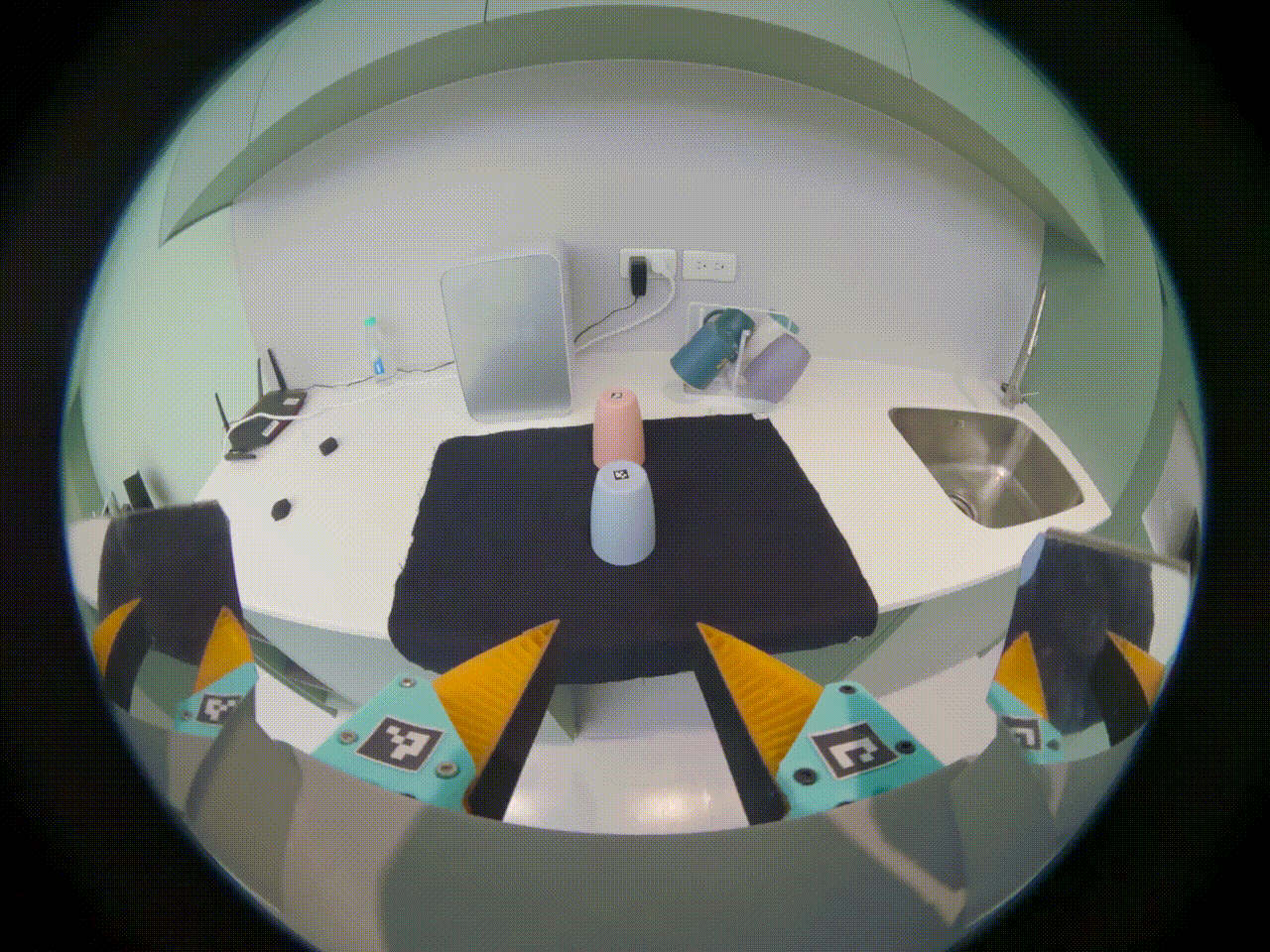 Human expert demonstration